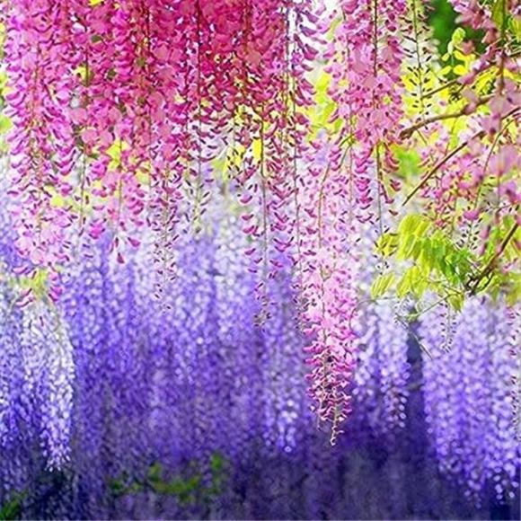 12Pack 1 Piece 3.6 Feet Artificial Fake Wisteria Vine Ratta Hanging Garland Silk - Picture 4 of 7